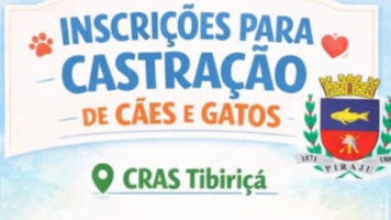 Inscrições abertas para castração de cães e gatos na Tibiriçá
