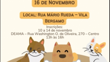 Campanha de Castração Gratuita