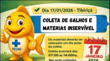 Mutirão de Limpeza na Tibiriçá em Piraju